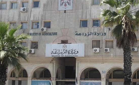 " الزراعة " تعلّق على ما يتداول بخصوص سمك الكارب النافق " الزراعة " تعلّق على ما يتداول بخصوص سمك الكارب النافق