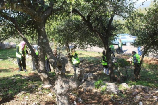 مطالب بمتابعة اوضاع النظافة في عجلون