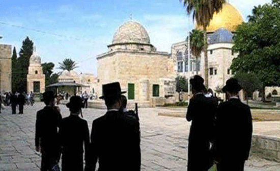 مستوطنون يستولون على قطعة أرض في القدس مستوطنون يستولون على قطعة أرض في القدس
