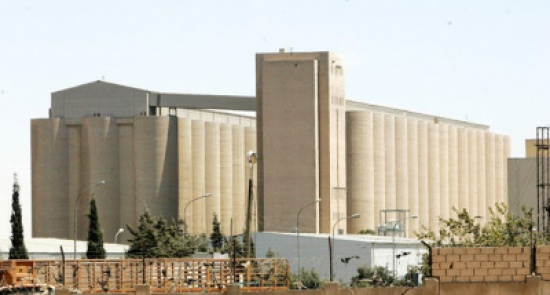 عبيدات: إعادة تصدير شحنة القمح البولندية ممكنة وتستغرق 10 أيام