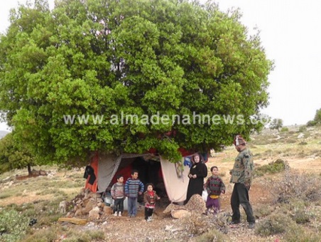 تأمين منزل لفارس الذي يعيش تحت شجرة في جرش تأمين منزل لفارس الذي يعيش تحت شجرة في جرش