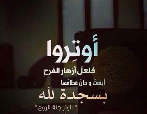 صلاة الوتر صلاة الوتر