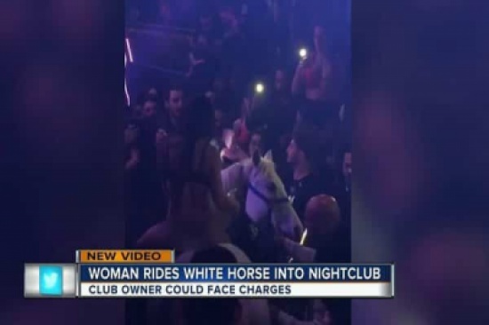 فيديو.. حصان في ملهى ليلي يثير تحقيقاً