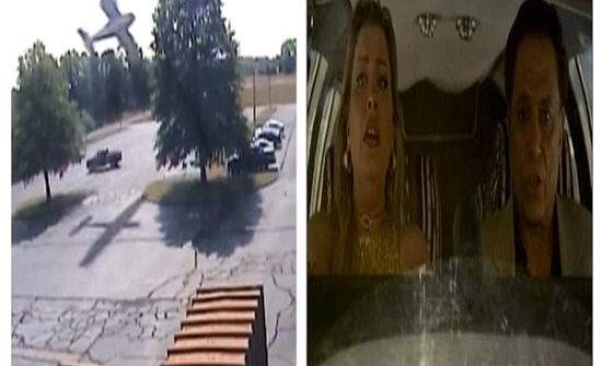 على طريقة "أمير الظلام".. طيار عجوز يصطدم بشجرة.. فيديو