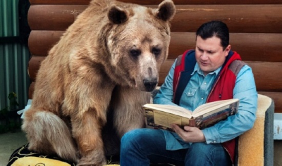 صور وفيديو: عائلة روسية تتبنى دب في منزلها