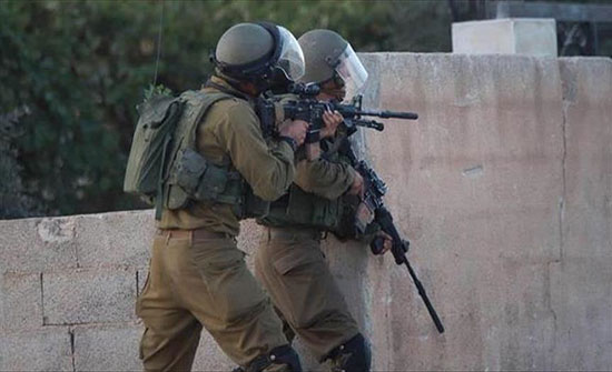 إسرائيل قتلت 312 فلسطينيا العام الماضي إسرائيل قتلت 312 فلسطينيا العام الماضي