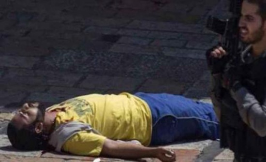 أقارب الشهيد العمرو يطلبون دفنه في مسقط رأسه بالكرك