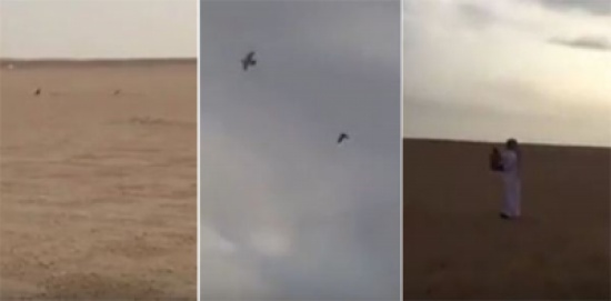 فيديو: شباب سعودي يضع صقر في مواجه نسراً آلياً.. فلمن الغلبة؟ فيديو: شباب سعودي يضع صقر في مواجه نسراً آلياً.. فلمن الغلبة؟