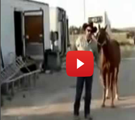 أميركي يقتل حصانه بدم بارد!!