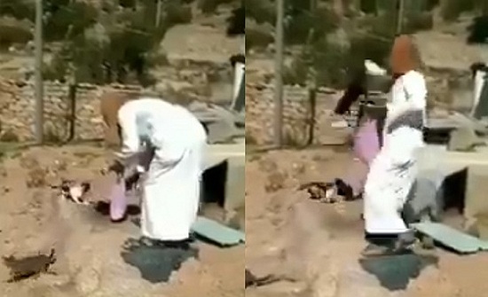 شخص يعذب قطة حتى الموت