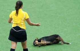 كلب مشاكس يقتحم الملعب في مباراة هوكي للسيدات