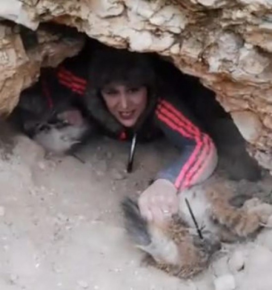 "حماية الطبيعة" تحقق بمحتوى فيديو يظهر سيدة تمسك بضبعين رضيعين