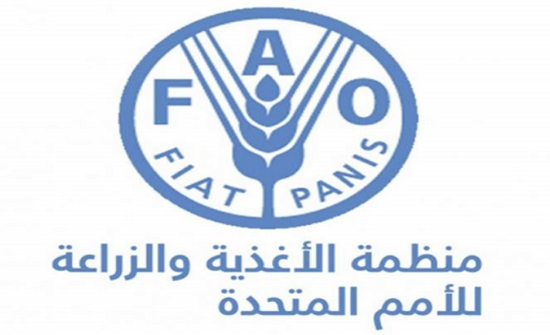 الفاو ومركز البحوث الزراعية يوقعان اتفاقية بناء قدرات