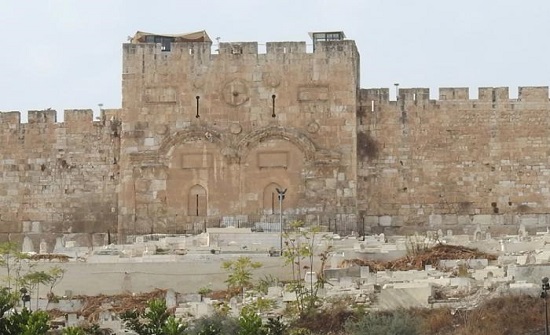 مختصون: باب الرحمة يعيد القدس والمقدسات لصدارة قضايا الأمة مختصون: باب الرحمة يعيد القدس والمقدسات لصدارة قضايا الأمة