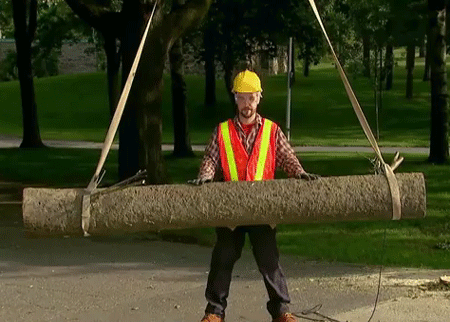 العامل القوي