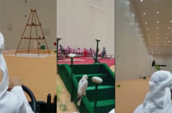 شاهد: جناح الصقور عند الشيخ فزاع في دبي
