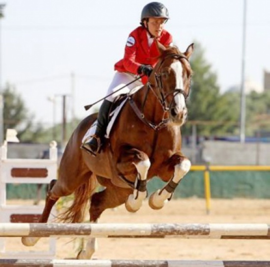 فرسان الأردن يشاركون في مصر مساء الخميس
