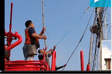 بالفيديو: ثعبان على عمود للكهرباء يثير رعب السكّان