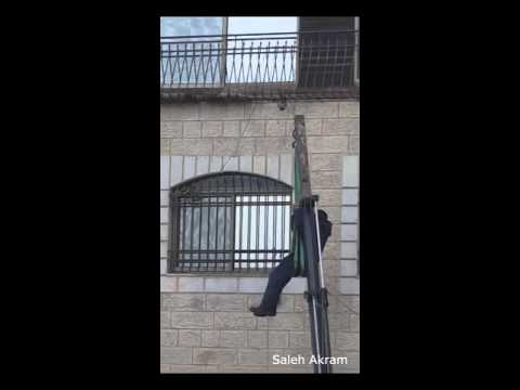 بالفيديو: فلسطيني يعرّض نفسه للخطر لإنقاذ حمامة عالقة بالفيديو: فلسطيني يعرّض نفسه للخطر لإنقاذ حمامة عالقة