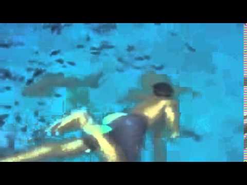 بالفيديو: سعودي يسبح مع لبؤة في حوض منزله