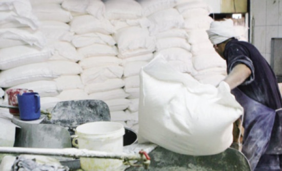 استيراد شحنات قمح مصابة بحشرة "السونة" تكبد المخابز خسائر مالية