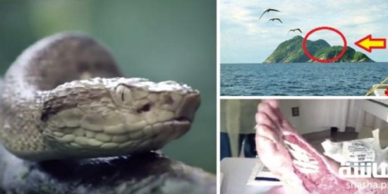 فيديو مرعب| أخطر جزيرة في العالم... 'الجزيرة الدموية'!