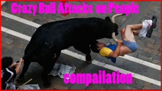 شاهد.. ثور هائج يصيب عددًا من الأشخاص