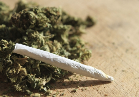 نيويورك تشرّع الـ " ماريغوانا "... بشرط