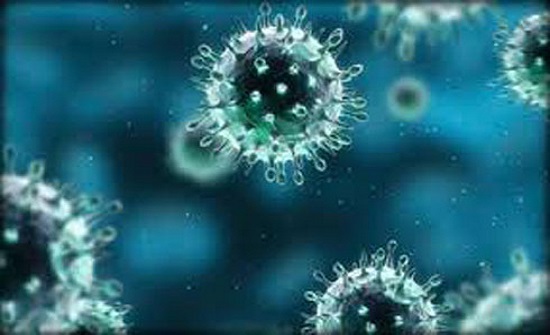 الصحة الكندية تحذر من بيع لقاحات كورونا مزيفة عبر الانترنت الصحة الكندية تحذر من بيع لقاحات كورونا مزيفة عبر الانترنت