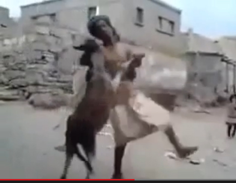 يرقص مع حمار