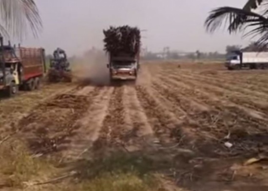 شاهد: لحظة انقلاب شاحنة كبيرة محملة بالأشجار