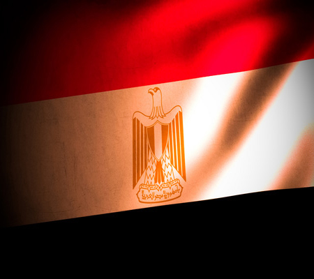 واشنطن تبدي قلقها من قانون مصري يعد له واشنطن تبدي قلقها من قانون مصري يعد له