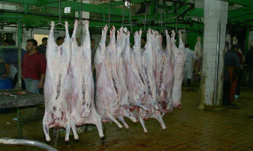 48 ألف طن لحوم عاينتها الأمانة في مسلخها خلال العام الحالي