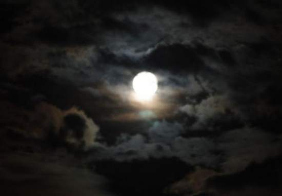 طقس نهاية الأسبوع : أجواء لطيفة نهاراً وباردة نسبياً ليلاً