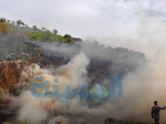 حريق يأتي على عشرات الدونمات في ثغرة عصفور حريق يأتي على عشرات الدونمات في ثغرة عصفور