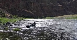 بالفيديو.. رجل يتعرض لموقف محرج أثناء صيد السمك