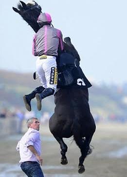 نجا فارس من انتفاضة جواده خلال سباق للخيل