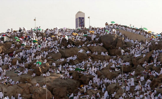 الحجاج الاردنيون يبدأون غدا رحلة العودة للوطن الحجاج الاردنيون يبدأون غدا رحلة العودة للوطن