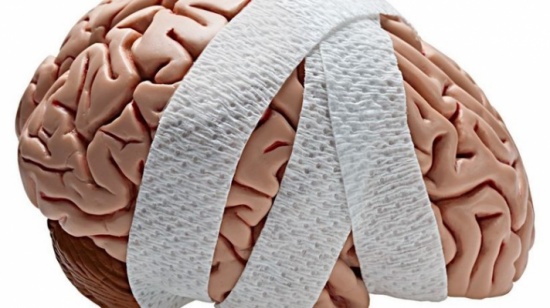 العدوانية سببها موت خلايا الدماغ