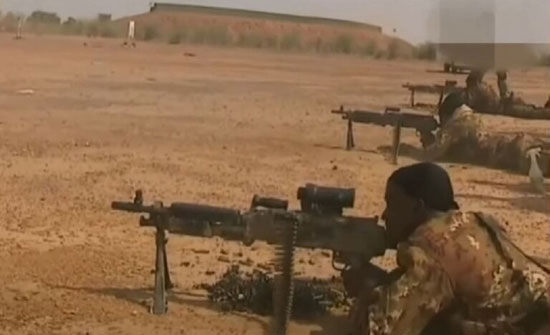 جيش مالي يعلن مقتل 33 من جنوده بهجوم مسلح شرقي البلاد