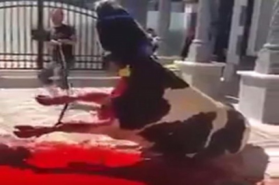 بالفيديو : أردني يضحي عن روح الشهداء السعوديين