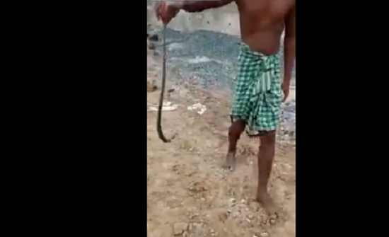 بالفيديو: ثعبان ينتقم من صبي ضايقه ويجبره على خلع ملابسه
