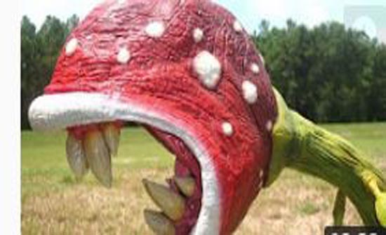 شاهد : نباتات قادرة على قتلك نباتات آكلة للحوم لن تصدق ما ستراة عينك!!