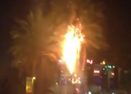 اشعال النار في نخلة احتفالاً بالفوز