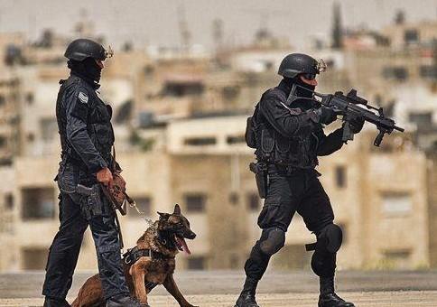 الطفيلة : القبض على مطلوب بـ 13 قضية سرقة