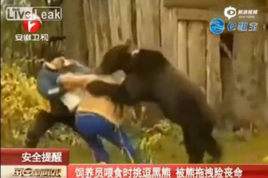 دب يهاجم امرأة أثناء إطعامه