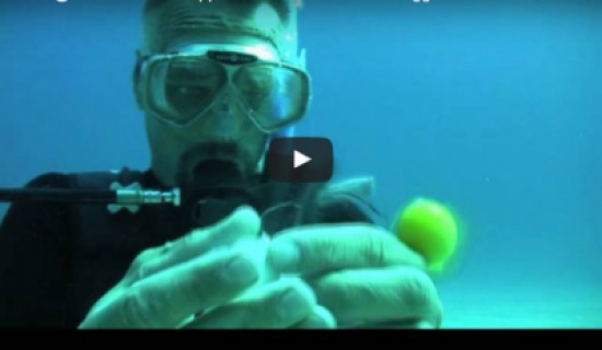 بالفيديو - لن تصدقوا ماذا يحدث عند كسر بيضة نيئة في المياه