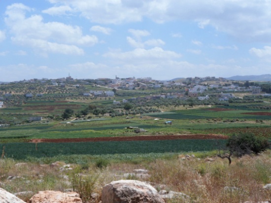 المباشرة باصلاح وتعبيد طرق زراعية في الكورة