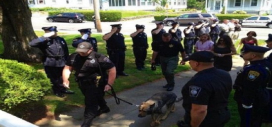 تحية عسكرية في الوداع الأخير لـ " كلب "