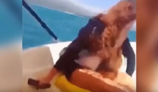 شاهد..  امرأة تختفي بشكل غامض من على متن قارب